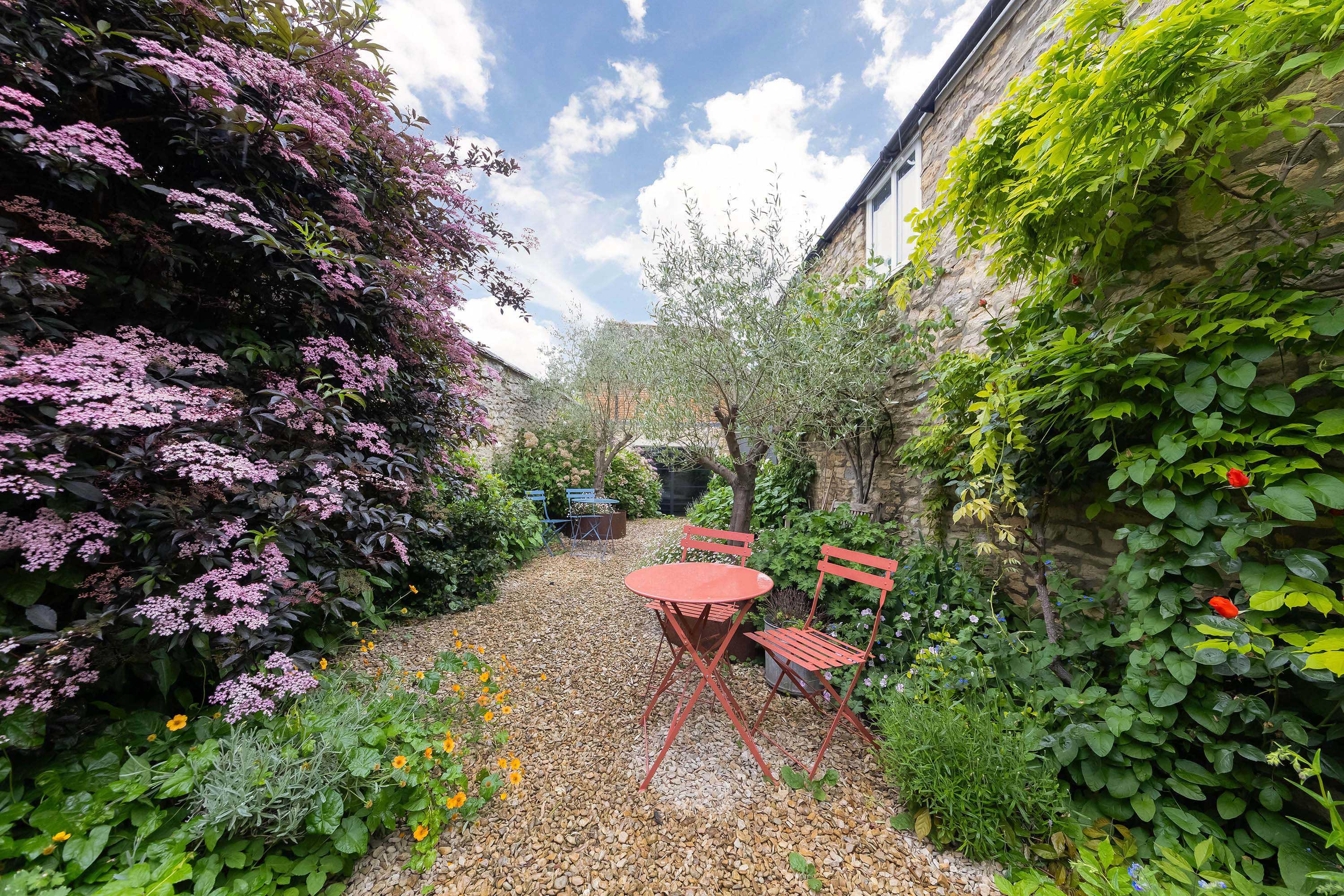 Back garden at Woodstock Nest